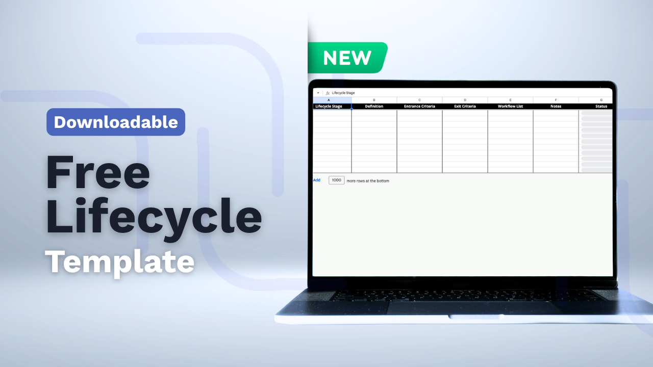 Lifecycle Stage Playbook (1)