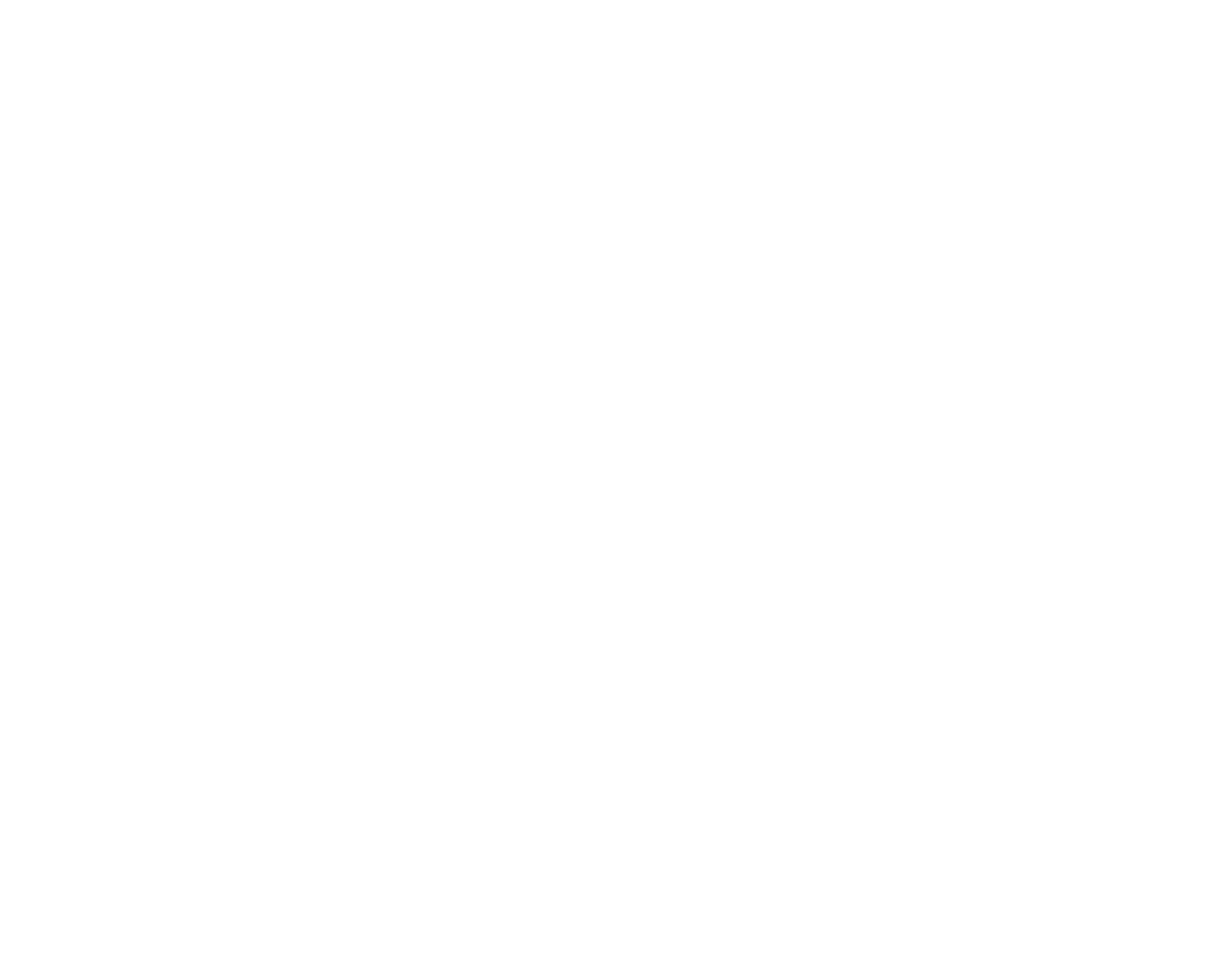 ambassador